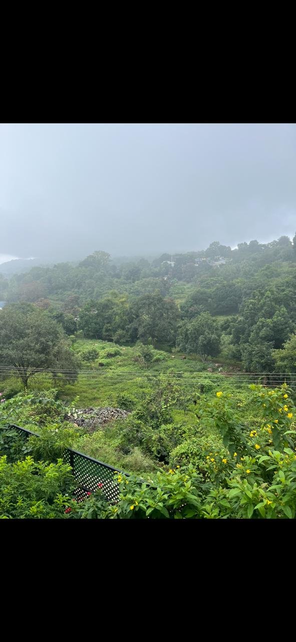 Peaceful hill view